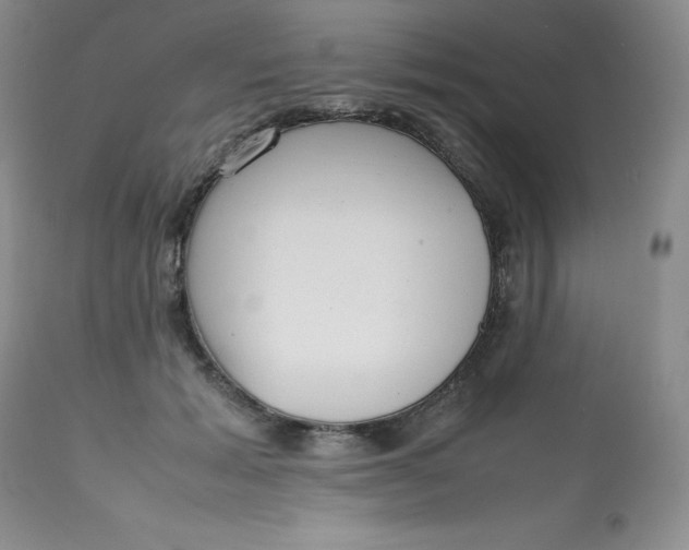 X0000112810605200909111301