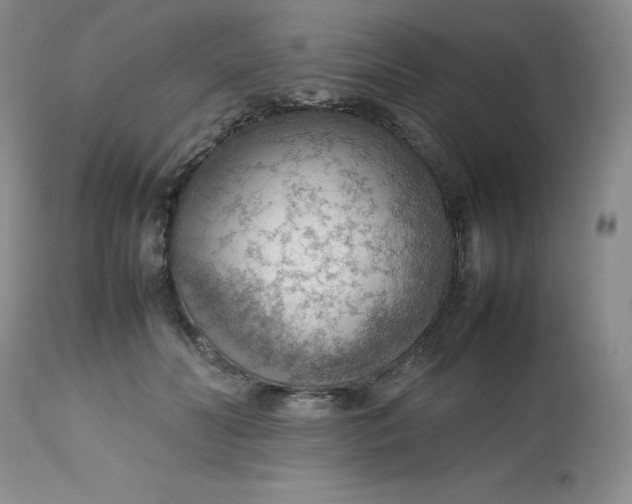 X0000112810606200909111301