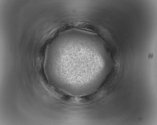 X0000112810607200909111301