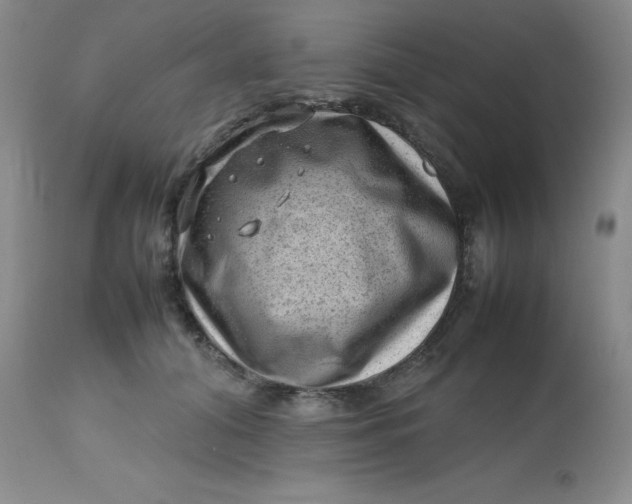 X0000112810608200909111301