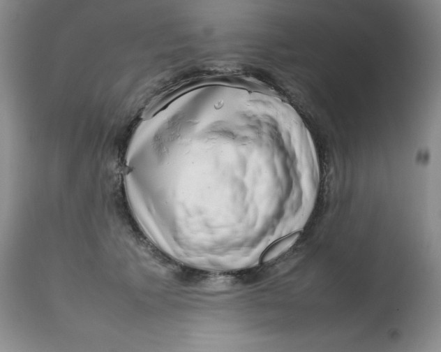 X0000112810609200909111301