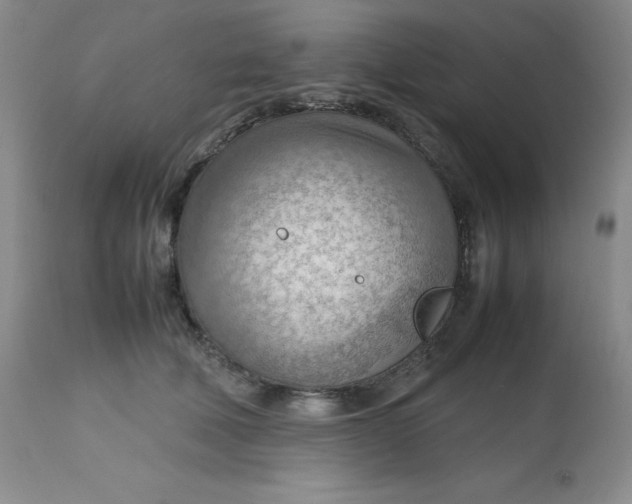 X0000112810610200909111301