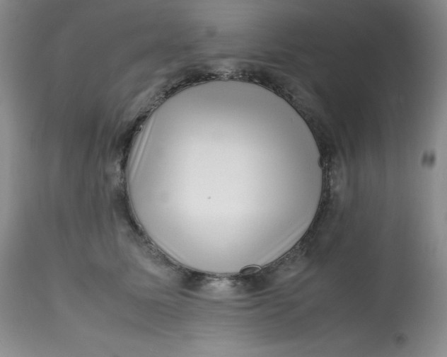 X0000112810611200909111301