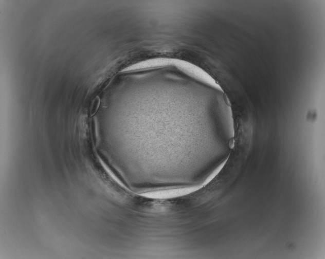 X0000112810612200909111301