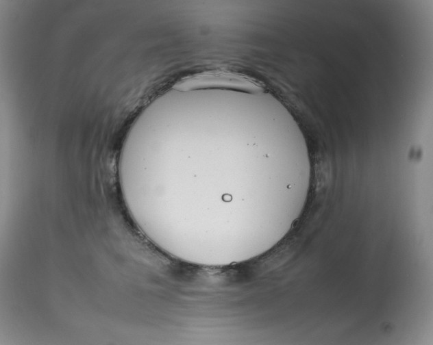 X0000112810613200909111301