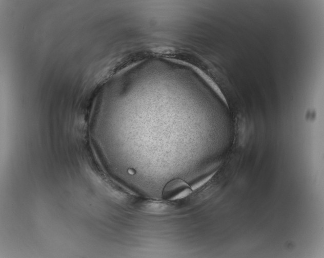 X0000112810614200909111301