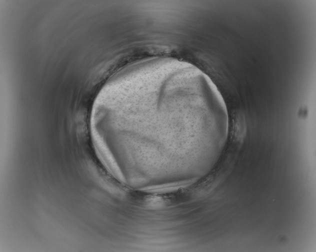 X0000112810616200909111301