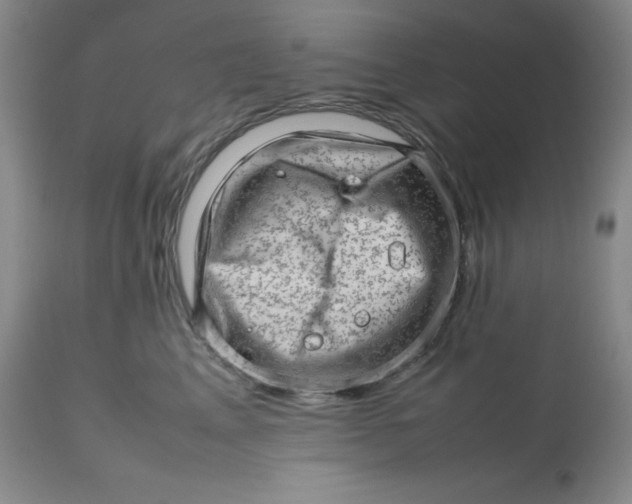 X0000112810617200909111301