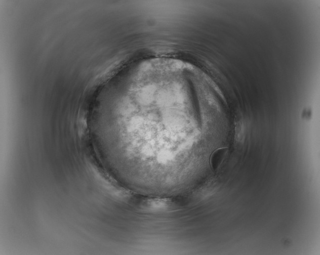 X0000112810618200909111301