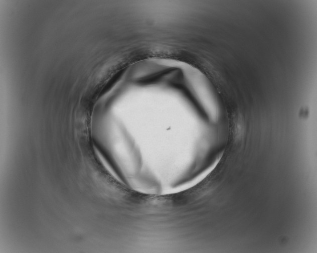 X0000112810619200909111301