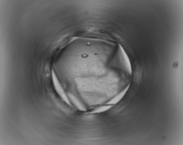 X0000112810620200909111301