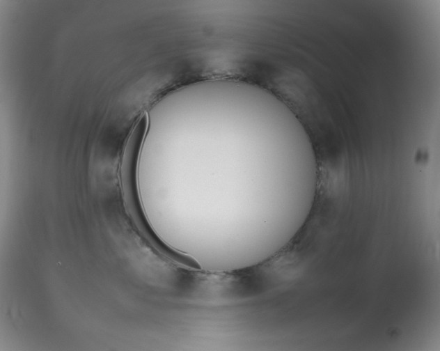 X0000112810621200909111301