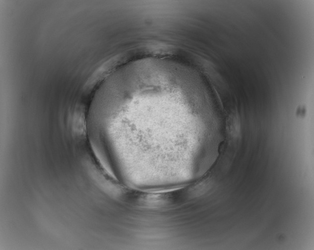 X0000112810622200909111301