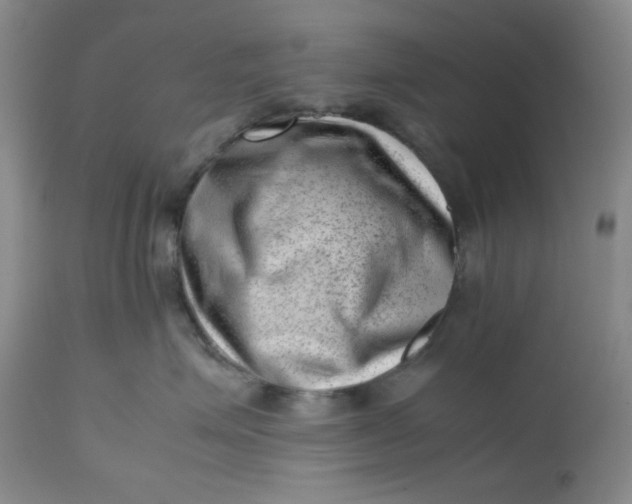 X0000112810623200909111301