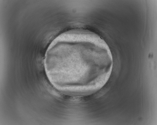 X0000112810624200909111300