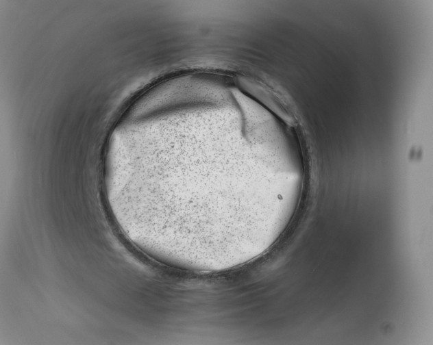 X0000112810625200909111300