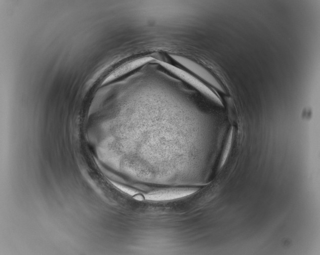 X0000112810626200909111300