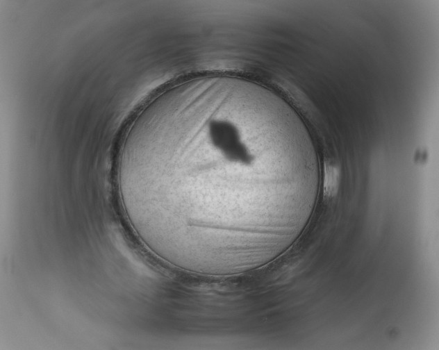 X0000112810627200909111300