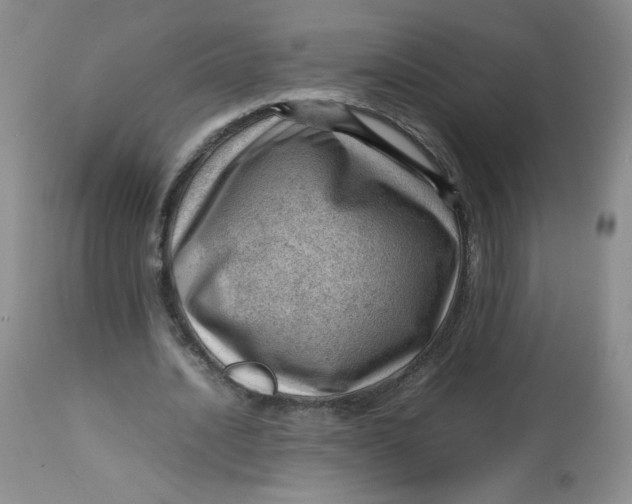 X0000112810628200909111300