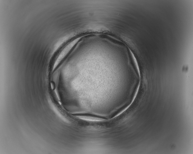 X0000112810630200909111300