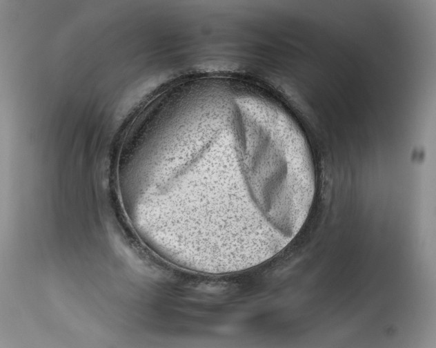 X0000112810631200909111300