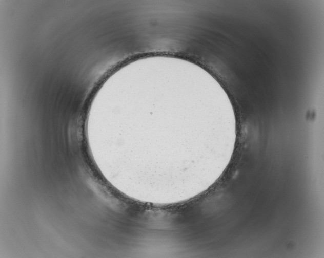 X0000112810632200909111300