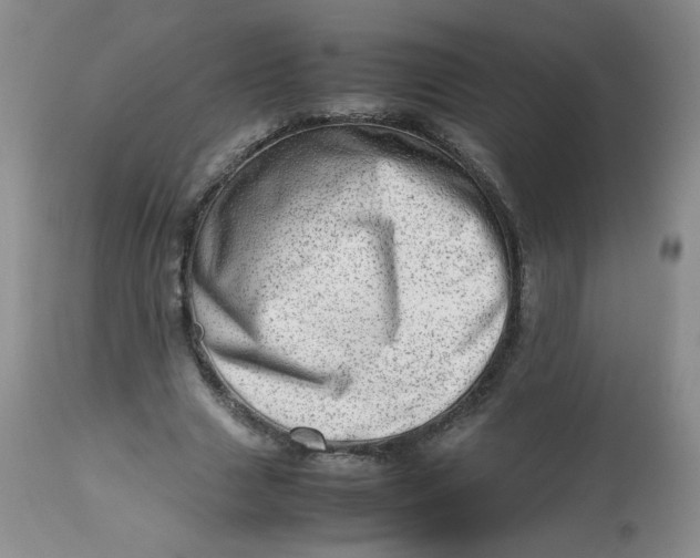 X0000112810633200909111300