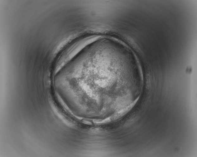 X0000112810634200909111300