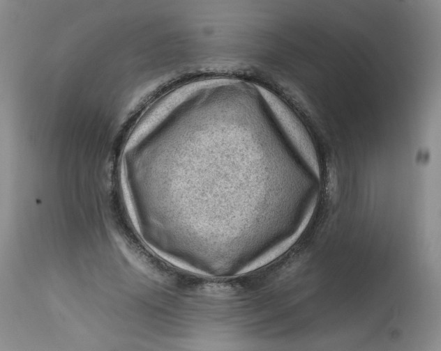 X0000112810636200909111300