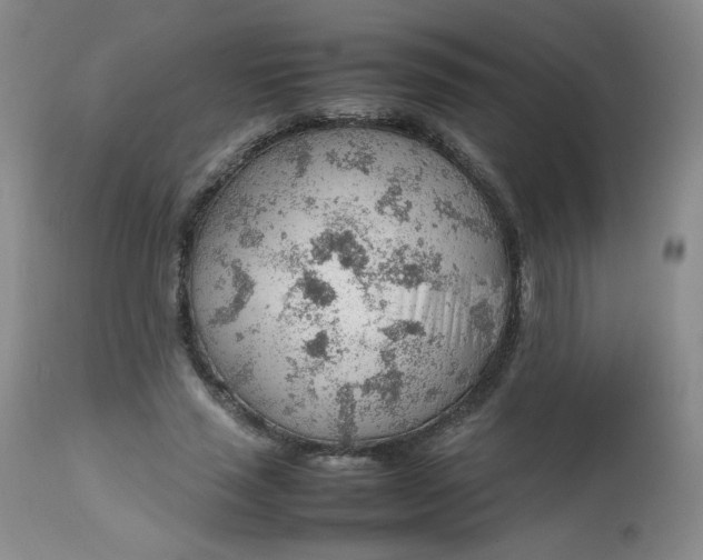 X0000112810637200909111300