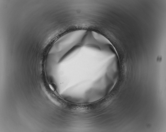 X0000112810638200909111300