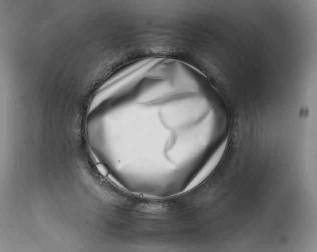 X0000112810639200909111300