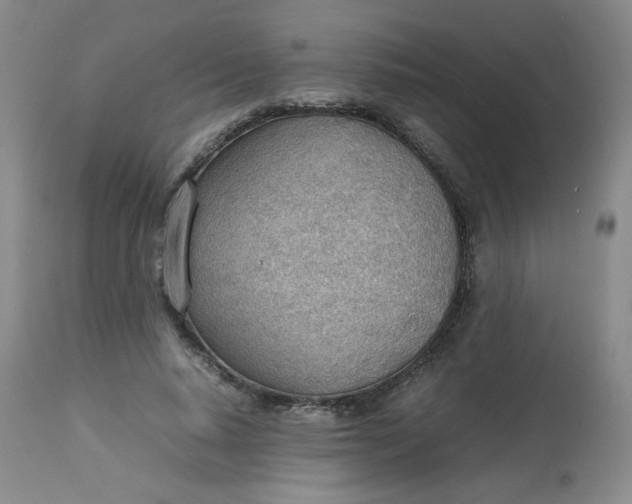 X0000112810640200909111300