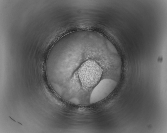 X0000112810641200909111300