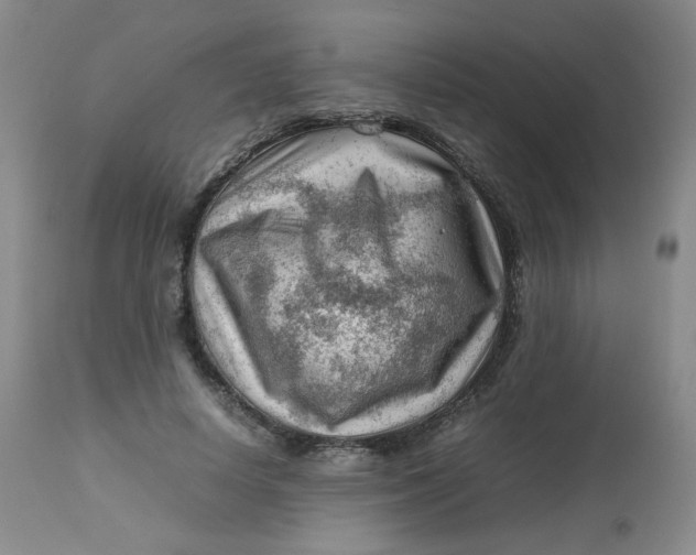 X0000112810642200909111300