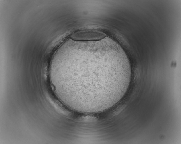 X0000112810644200909111300