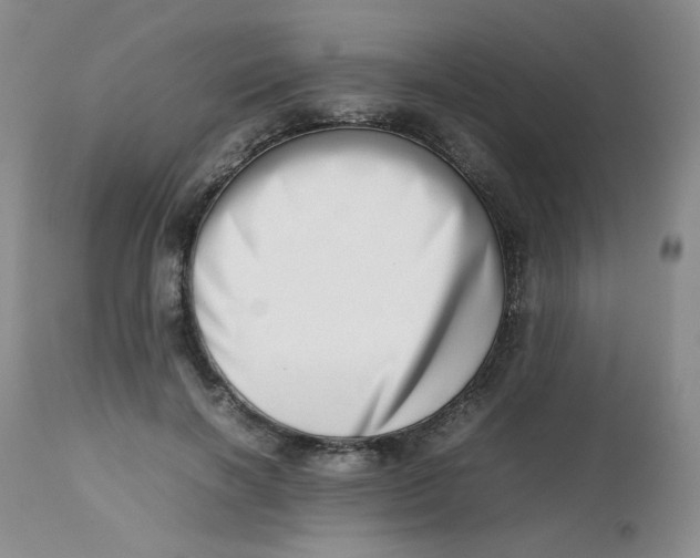 X0000112810646200909111300