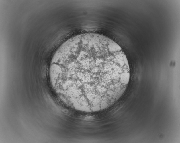 X0000112810647200909111300