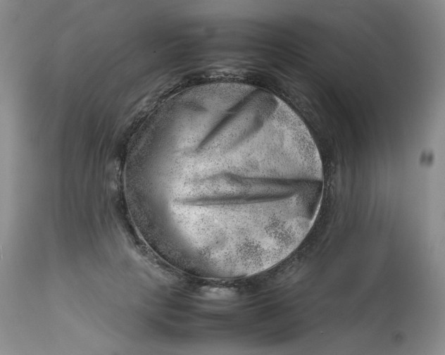 X0000112810649200909111300