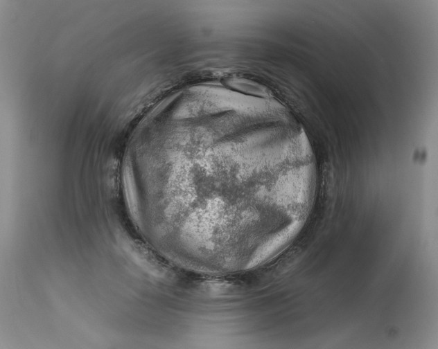 X0000112810650200909111300