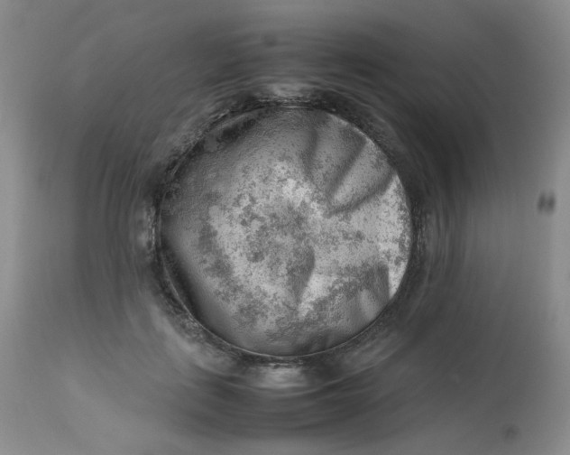 X0000112810651200909111300