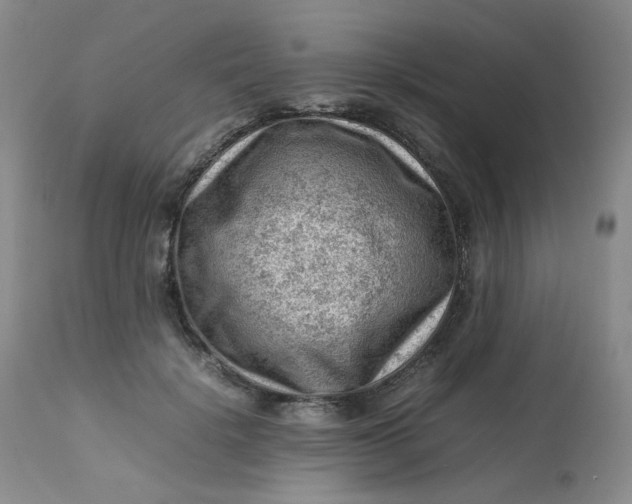 X0000112810652200909111300