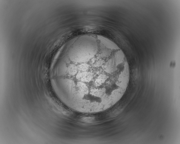 X0000112810653200909111300