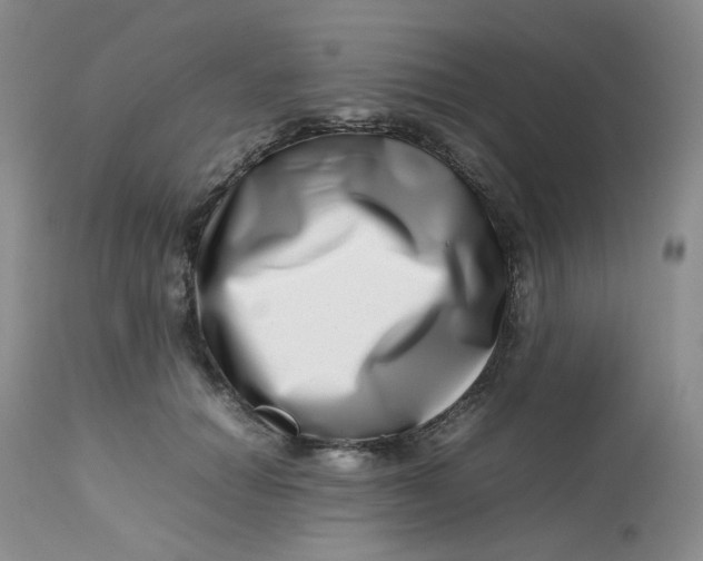 X0000112810654200909111300