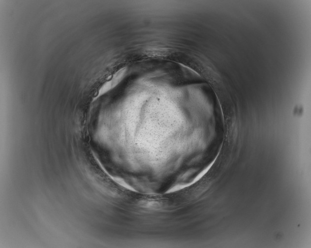 X0000112810655200909111300