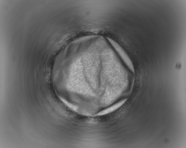 X0000112810656200909111300