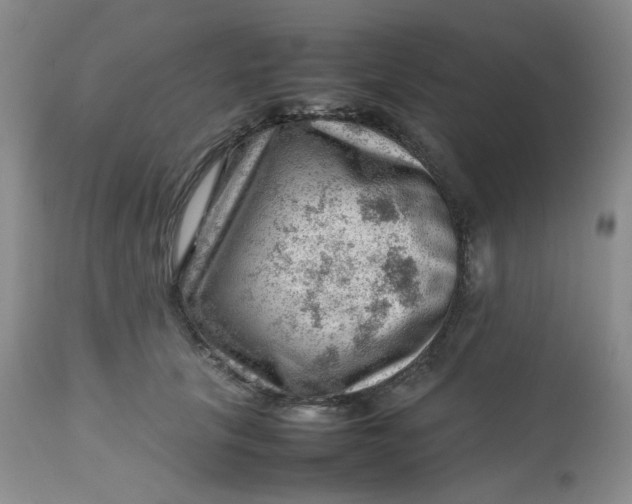 X0000112810657200909111300