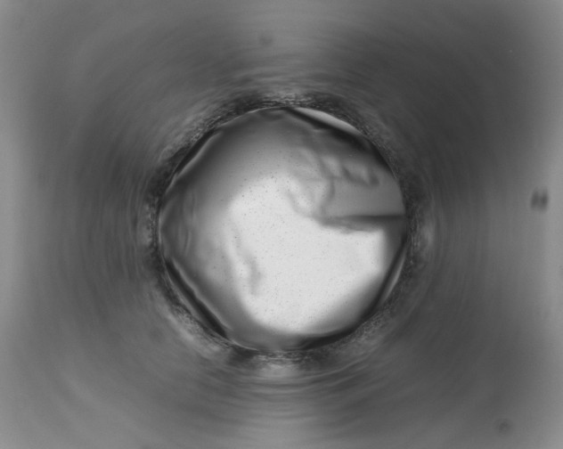 X0000112810658200909111300