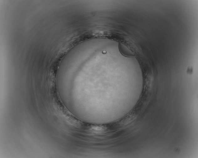 X0000112810659200909111300