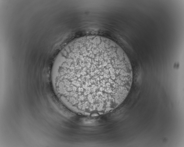 X0000112810661200909111300